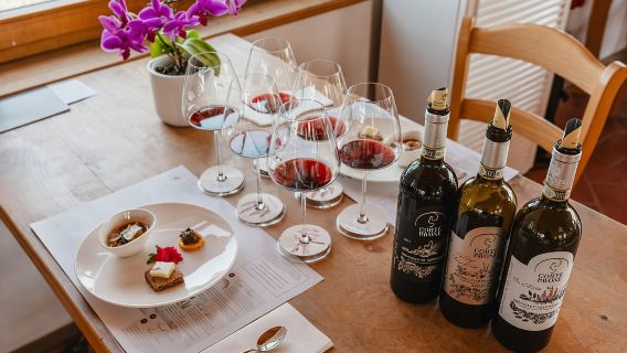 Montalcino: Guided Winery Tour & Gourmet Food Tasting