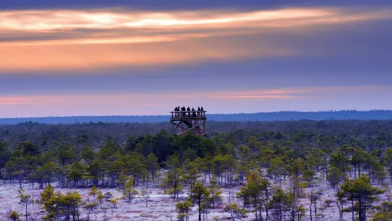 From Riga: Ķemeri National Park & Baltic Coast