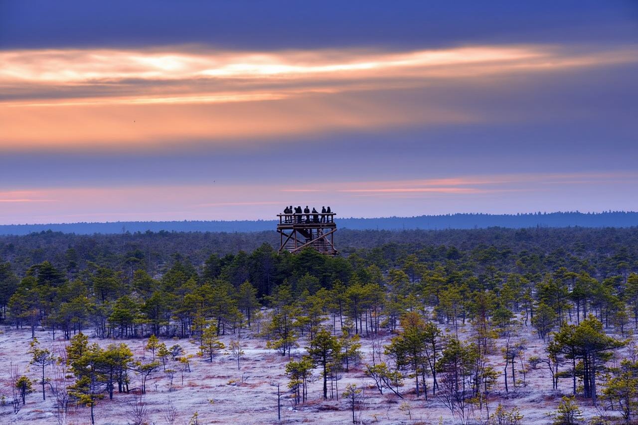 From Riga: Jurmala & Kemeri Tour + Baltic Sea