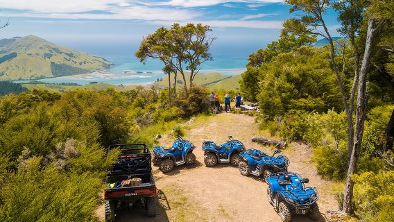 Quad Bike - Bayview Circuit