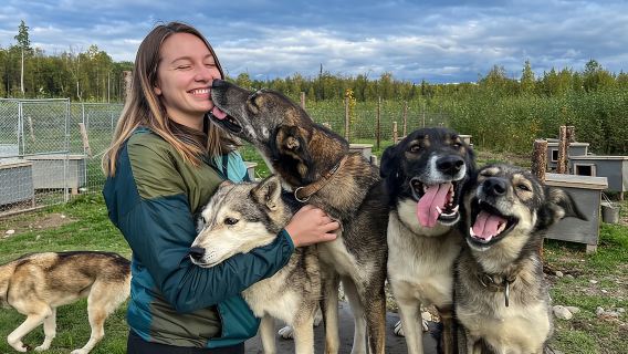 Sled Dog Kennel Tour