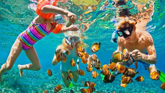 อินโดนีเซียบาหลี ดำน้ำสกูบา/ดำน้ำตื้น 2 ชั่วโมง