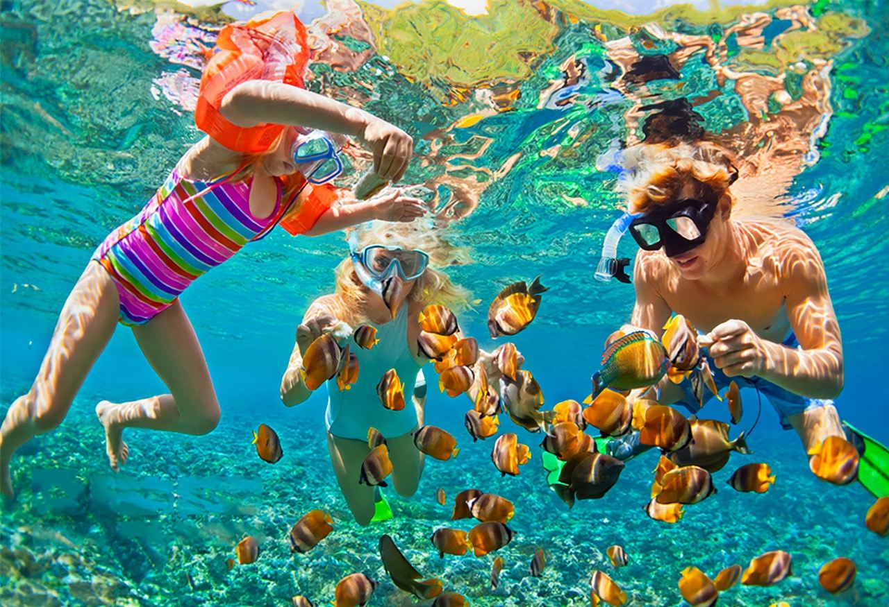 印尼峇里島體驗潛水水肺潛水/浮潛2小時