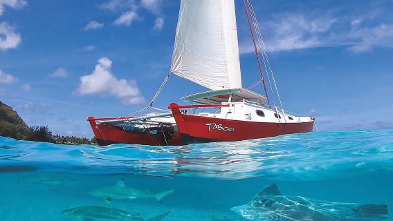 Halbtagestour: Schnorcheln und Segeln vor Moorea auf einem Katamaran namens Taboo