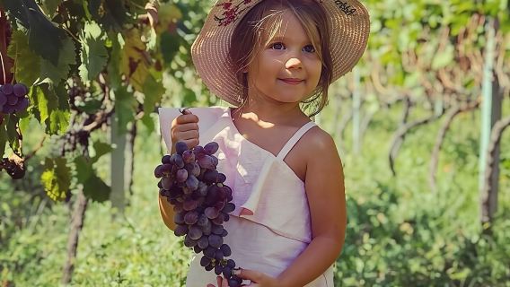 ВКУС ЧЕРНОГОРИИ — Гастрономический тур с вином и едой