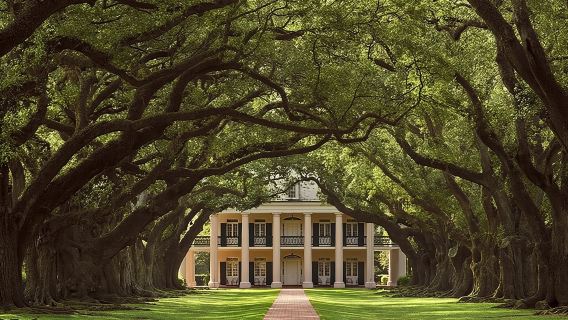 Perjalanan Menaiki Bot Paya dan Oak Alley Plantation dari New Orleans
