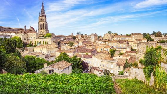 tour giornaliero a Saint-Emilion: villaggio e castello con degustazione di vini