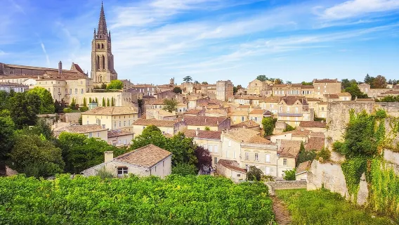 tour trong ngày Saint-Emilion: Làng & Lâu đài kèm nếm rượu vang
