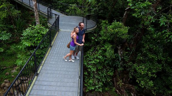 Cape Tribulation, Mossman Gorge and Daintree Rainforest Day Tour