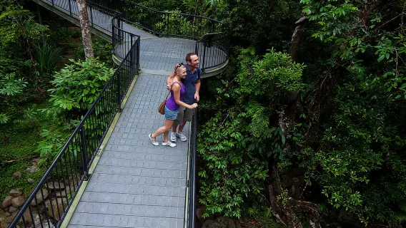 Cape Tribulation, Mossman Gorge and Daintree Rainforest Day Tour