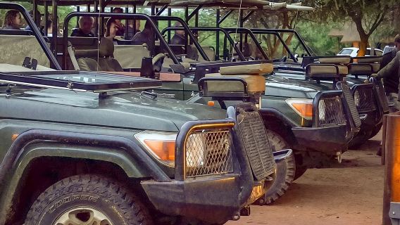 Safari Game Drive: Khu bảo tồn Dinokeng Game