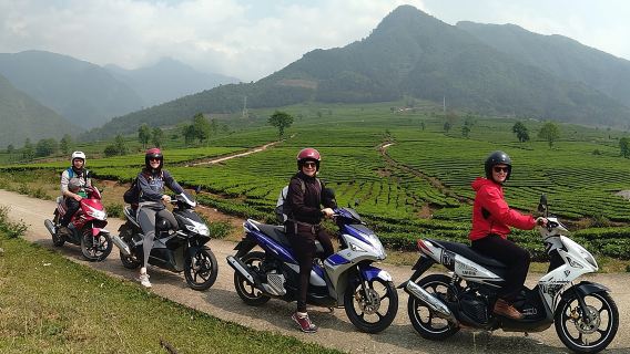 Sapa