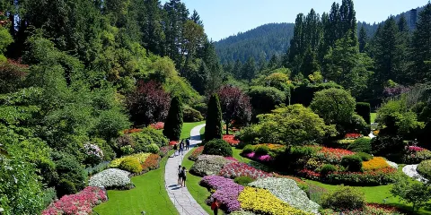 溫哥華出發渡輪前往維多利亞及布查德花園之旅