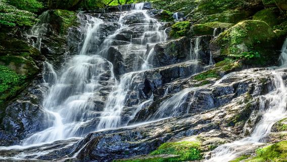 日本北九州白絲瀑布+雷山千如寺 大悲王院+福岡塔一日遊