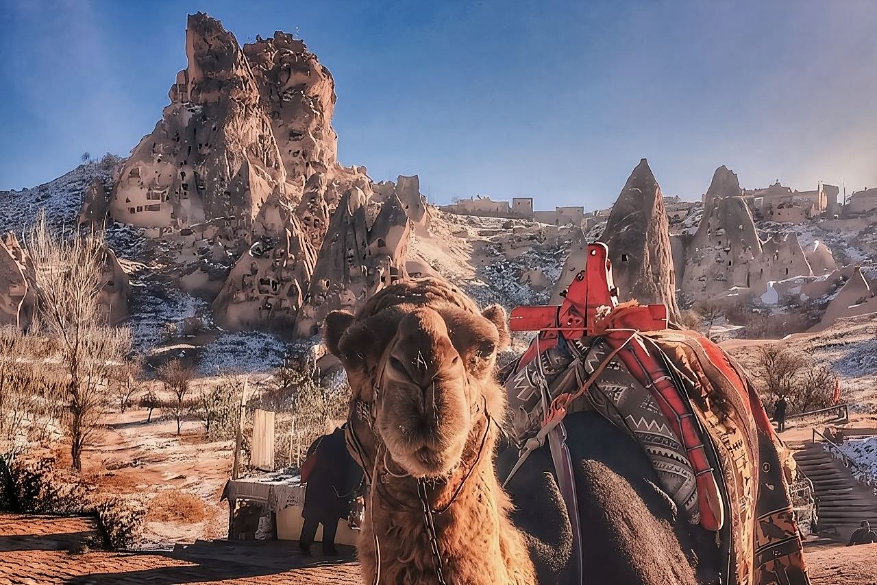 Tour privato guidato di un giorno intero in Cappadocia