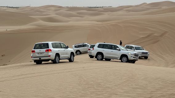 Abu Dhabi Desert Safari With BBQ Dinner & Live Shows