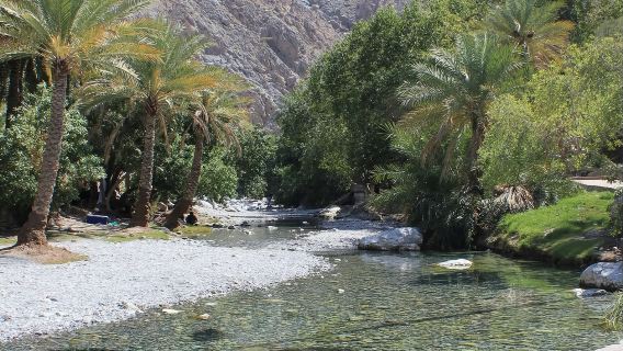 馬斯喀特周邊Seeb魚市和Wakan Village一日遊