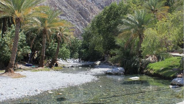 馬斯喀特周邊Seeb魚市和Wakan Village一日遊
