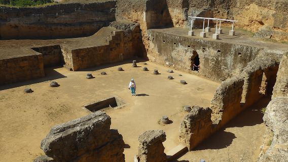 Carmona y Necrópolis: excursión de un día desde Sevilla