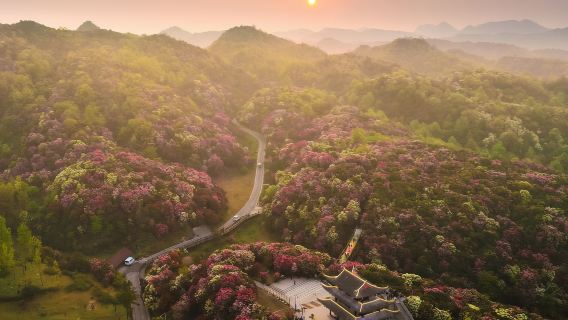貴州貴陽+甲秀樓+築城廣場+百里杜鵑風景區包車訂製一日遊EA