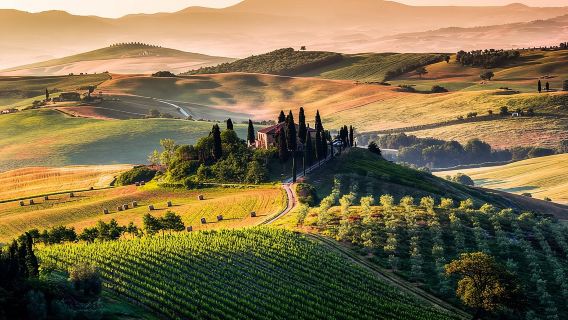 lawatan sehari Lembah Orcia, Itali, termasuk Montalcino, Pienza dan Montepulciano.
