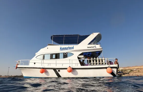 亞喀巴浮潛活動（含午餐和交通，搭船）