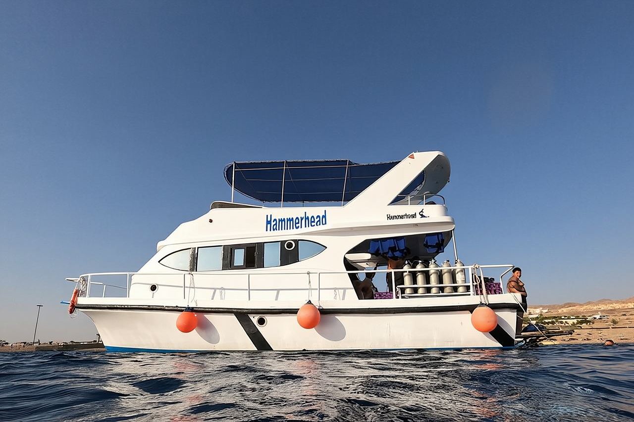 Snorkeling Activity in Aqaba with Lunch and Transportation (Boat)