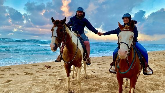 Sharm El Sheikh Horseback Riding with Pickup and Drop-off