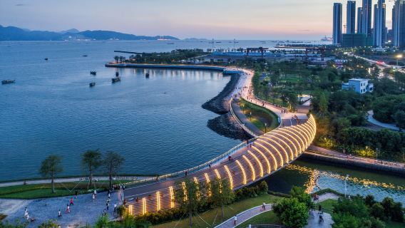 Частный однодневный тур в Шэньчжэнь: Восточный зарубежный китайский Гранд-Каньон и Приморский парк Дамейша