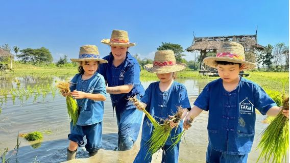 清邁生薑觀光農場半日遊【養雞放牛插秧玩泥巴滑滑梯/自行前往】