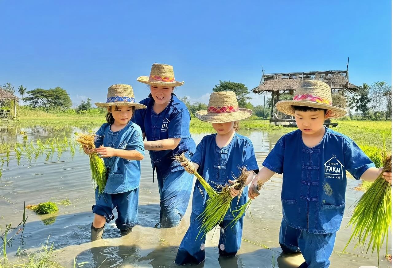 Chiang Mai Ginger Farm half-day tour [chicken raising, cow herding, rice planting, mud play and slide/self-guided]