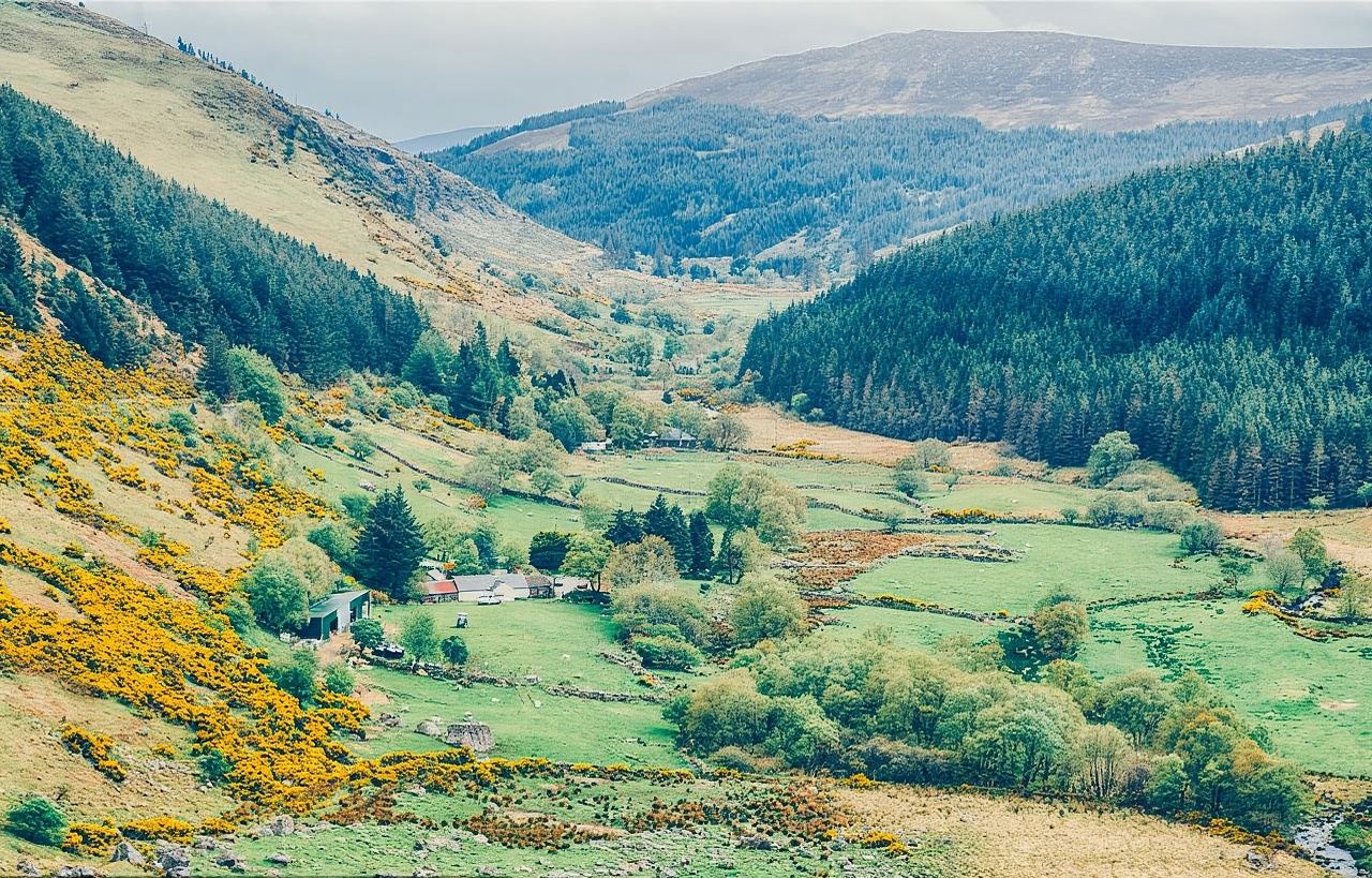 Kilkenny & Wicklow & Glendalough tour di un giorno (partenza da Dublino)