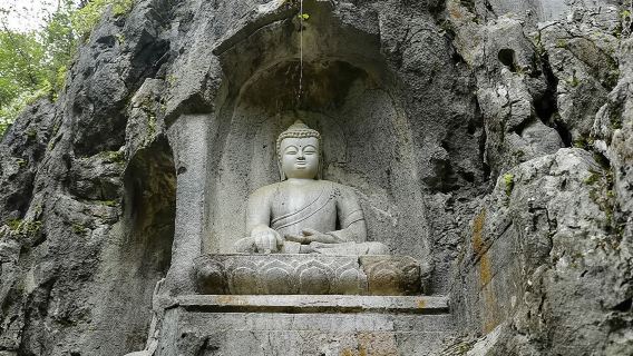 杭州一日遊 西湖遊船雷峰塔登高 靈隱飛來峰散心之旅【贈午餐】