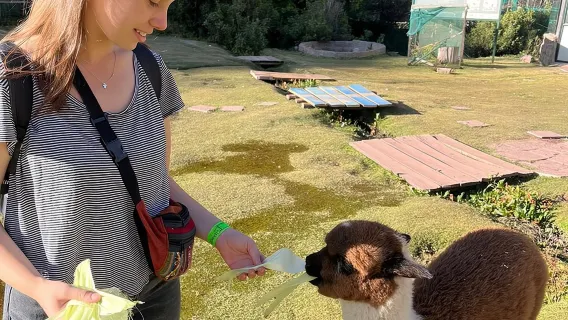 Cochahuasi Animal Sanctuary: Official VIP Tour Wild Experience