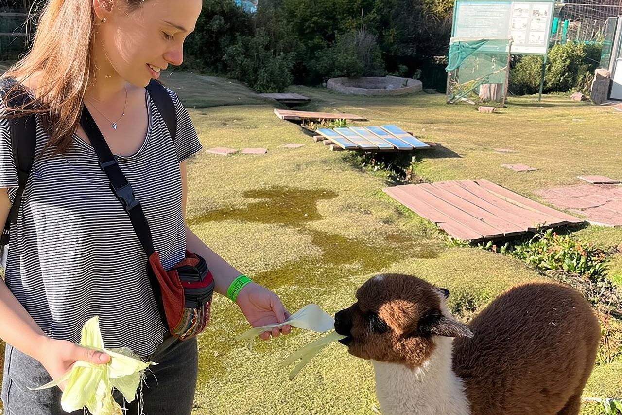 Tur Satwa Liar VIP Terbaik di Suaka Margasatwa Resmi Cochahuasi, Cusco