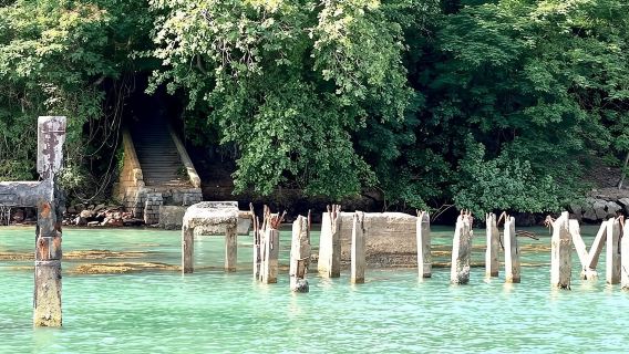 Singapore Southern Islands Speed Boat Tour 68355