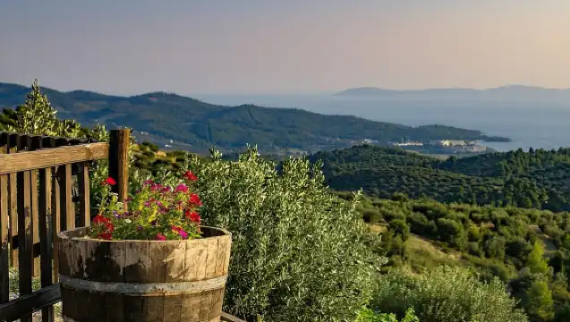 Halkidiki Experience: Private Tour to Sithonia from Thessaloniki