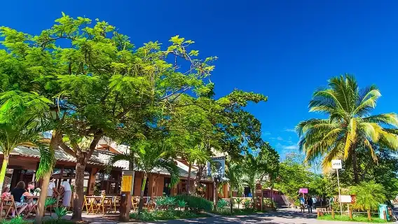 Tour Praia do Forte and Guarajuba, Leaving Salvador-Bahia.