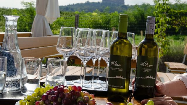 Countryside Half Day Wine Tour near Vienna with meal & transfer