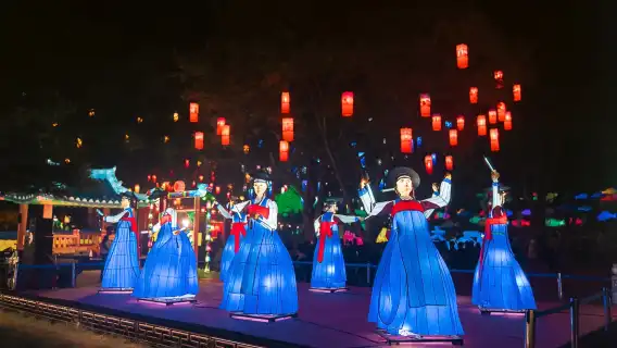 Autumn Special: Jinju Namgang Lantern Festival & Pink Muhly Grass Field Tour (Depart from Busan)