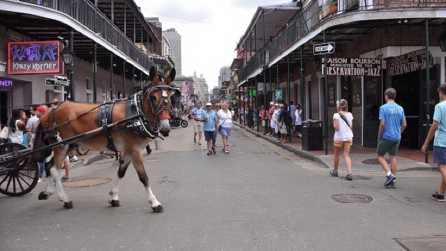 ทัวร์รถม้าในนิวออร์ลีนส์ เฟรนช์ควอเตอร์ และสถานที่อื่นๆ