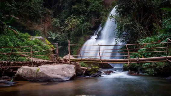 Chiang Mai Doi Inthanon National Park one-day tour [optional hiking | English and Chinese guide | lunch and coffee]
