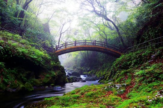 Takachiho One-Day Tour