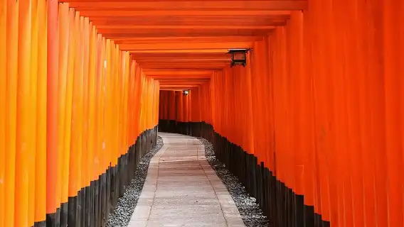 ทัวร์เต็มวันในเกียวโตพร้อมรถรับส่งส่วนตัว