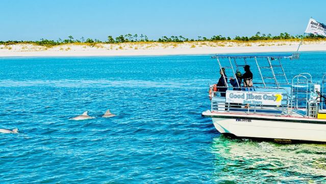Shell Island Dolphin Sightseeing Boat Tour in Panama City Beach