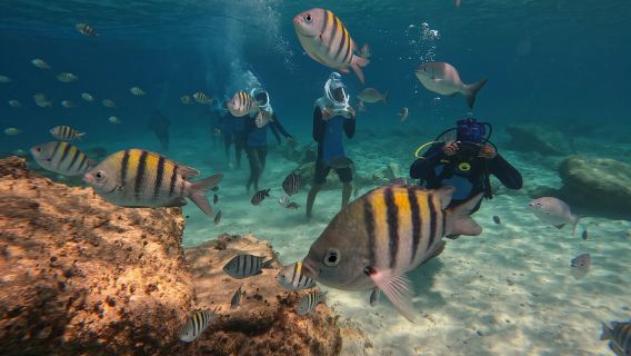 Teneriffa: Unterwasserspaziergang – Sea Trek Experience