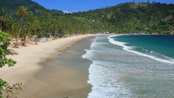 Trinidad: Rainforest Hike to Avocat Waterfall