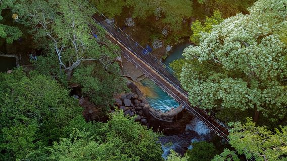 Rincón de la Vieja: One-Day Nature Tour