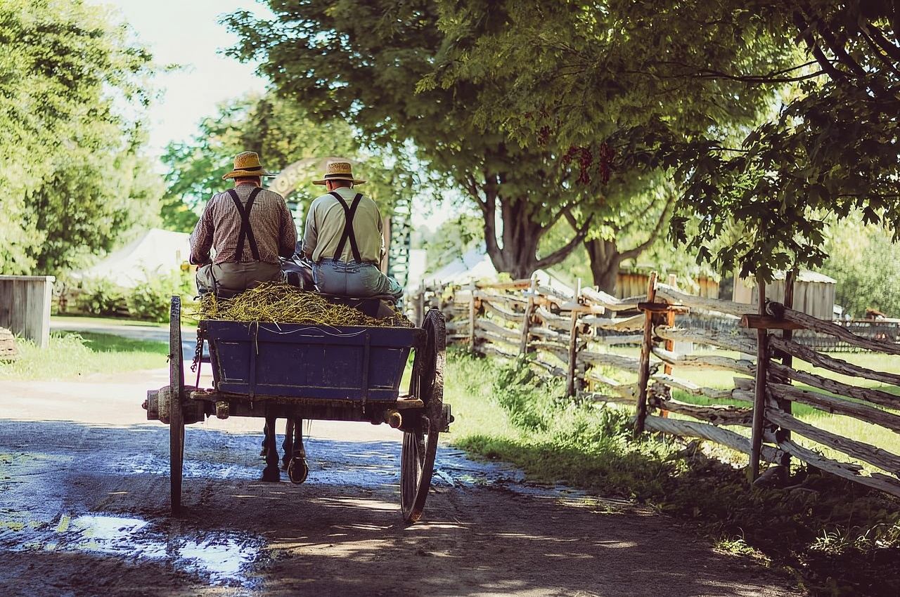 Lancaster: tour autentico del centro e della contea Amish di Lancaster