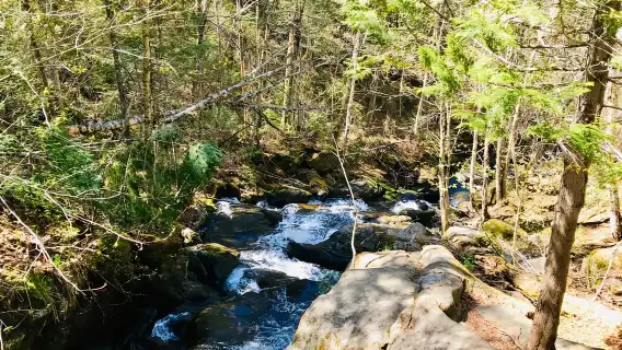 Quebec City: Guided Hike in Jacques-Cartier National Park